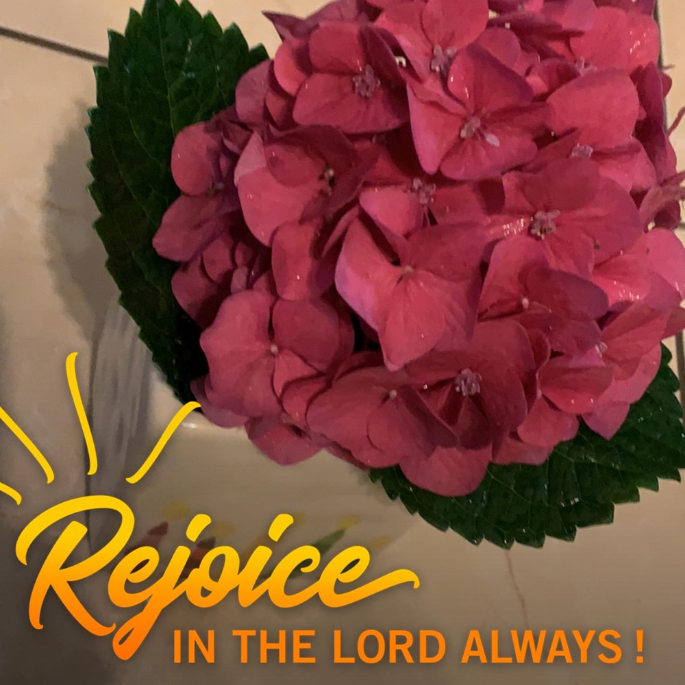 Meet your Posher, Beatriz